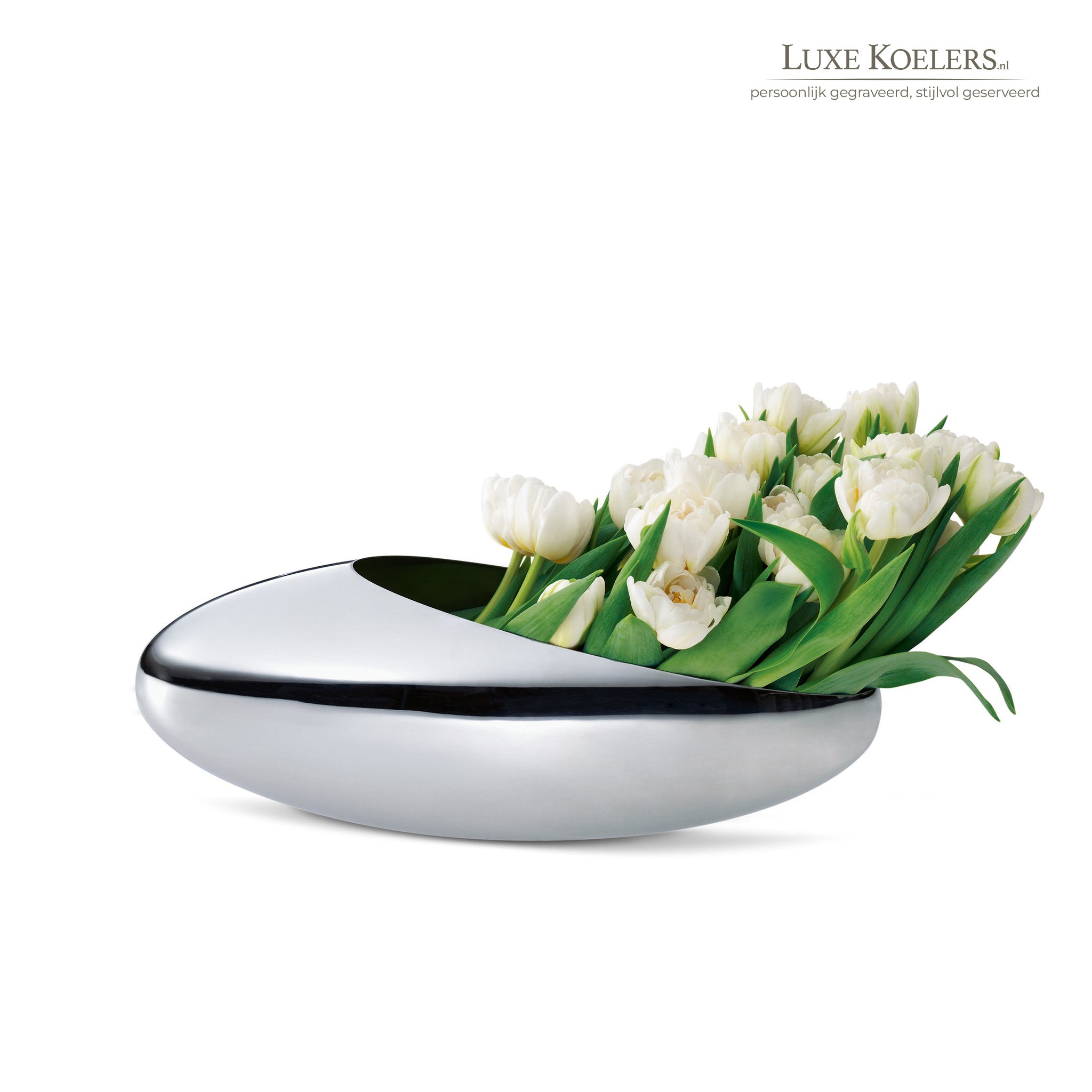 champagnekoeler ook als vaas te gebruiken met witte tulpen